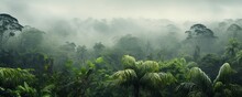 View Of Tropical Forest With Fog In The Morning During The Rainy Season	
