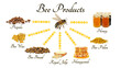 honey, bee bread, pollen, royal jelly, propolis and wax isolated