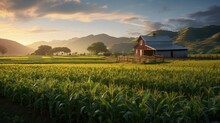 Beautiful Barn On Farm With Corn Field. AI Generated.