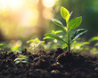 © PixelMinds - Young Plant Reaching for Sunlight