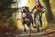 Bikejöring, Zughundesport für Hundeführer mit einem Mountainbike im Gelände