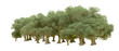© Elena - Green forest isolated on background. 3d rendering - illustration