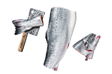 Wall Mural - Raw cut salmon fish  Transparent background. Isolated.