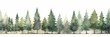 A Watercolor Tree Line of Giant Sequoia on White Background AI Generated