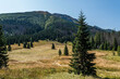 Widok z gór na polanę Tatrzańskiego Parku Narodowego