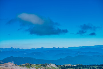 Sticker - Amazing landscape of Mount Rainier National Park in summer season, Washington - USA