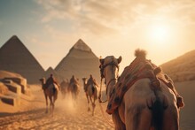 Majestic Camels Resting At The Pyramids Of Giza In Egypt - A Timeless Scene Illustrating The Coexistence Between Animals And The Historical Wonders Of Ancient Egypt