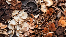 Mixed Dried Mushroom. Assortment Of Dried Mushrooms. Different Species Of Dry Fungi. AI Generative