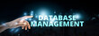 database file document transfer and sharing, big data for finance data analytics to growth concepts.