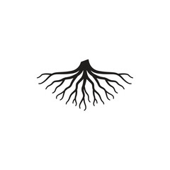 Wall Mural - root icon vector