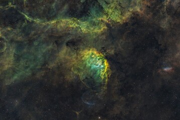 Wall Mural - tulip nebula 3