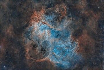 Wall Mural - lion nebula 8