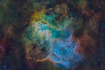 Wall Mural - lion nebula 7