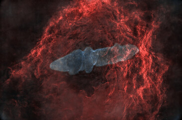 Wall Mural - flying bat and giant squid nebula 1