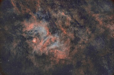 Wall Mural - lion nebula 3