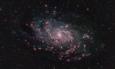Wall Mural - m33 - triangulum galaxy 1