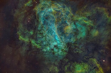 Wall Mural - swan nebula 1