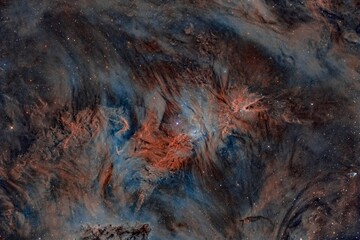 Wall Mural - christmas tree cluster fox fur nebula 3