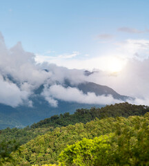 Sticker - Landscape of mountain covered fog