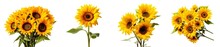 Very Close-up View Of Sunflowers With Detailed Like Flower Stalk, Pistil, Pollen Texture, Isolated White Background...