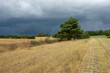 Thunderstorm front over Ummerstadt  at Kolonnenweg, Grünes Band, the former border between GDR and FRG