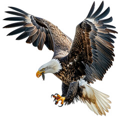 Sticker - bald eagle in flight