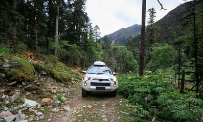 Wall Mural - Driving White 2020 Toyota 4Runner TRD in high altitude forest trail, China