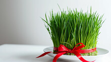 Green Fresh Semeni Sabzi Wheat Grass In White Plate Decorated With Red Ribbon On White Background. Novruz Spring Equinox Celebration. Made With Generative Ai