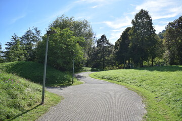 Wall Mural - way trough a park in Luxembourg, Lac d'Echternach