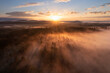 © Westend61 - Germany, Bavaria,Aerial view of forest at foggy autumn sunrise