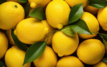 Fresh Lemons, Lots Of Yellow Lemons  Background, Colorful Display Of Lemons In Market