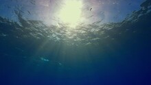 View Of The Surface, Of The Ocean Light Playing With The Waves From The Underwater Diving Point Of View 