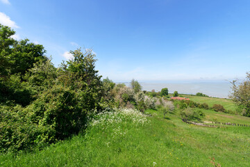 Sticker - Bay of  the Somme panorama in the hill of Saint-Valery-sur-Somme village