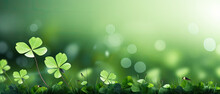 Green Clover Leaf Isolated On Blur Background. With Leaved Shamrocks. St. Patrick's Day Holiday Symbol. Lucky Green Clover And Nature Background 