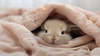 cute rabbit sleeps on white blanket in the bed.Cute bunny relaxing time. Rabbit Bunny. 
