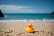 Rubber Duck On A Beach Holiday, At The Shoreline Of Pedn Vounder Beach, Cornwall On A Bright Sunny June Day.