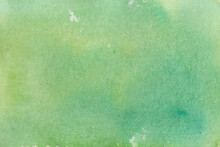 Abstract Green Watercolor Texture Background.