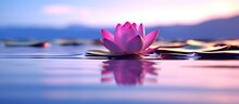 One Pink Lotus Flower Amidst The Calm Blue And Purple Water
