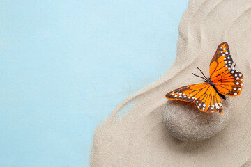 Calmness and harmony background with marble stones and butterfly. Maditation and relaxation concept