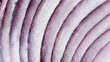 Macro detail from red onion cut section