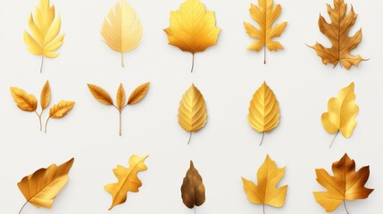 Wall Mural - Various golden leaves on white background isolated on white background, - Created using AI Generative Technology