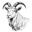 Farm goat hand drawn sketch Vector illustration