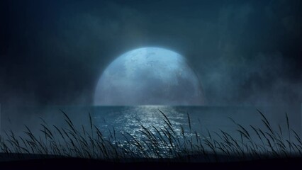 Wall Mural - beach grass silhouette blowing in the full moon night 4k loop features a scene with an ocean and ful