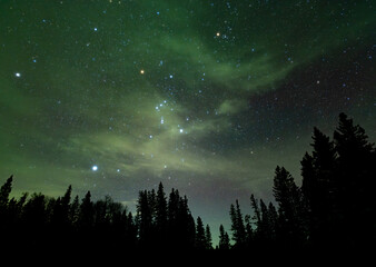 Wall Mural - a night sky image of a star filled sky with thin cloud lit up by a distant green aurora. the foregro