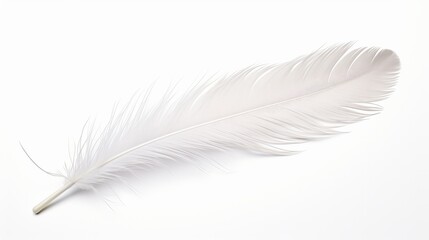 Sticker - White feather isolated on white background isolated on white background, - Created using AI Generative Technology