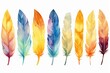 Colorful boho feather tribes in watercolor, abstract art with bird wing design on white background. Generative AI