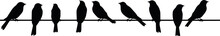 A Silhouette Of Birds Purple Martins On A Telephone Wire. AI Generated Illustration.