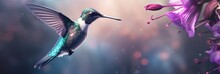 Scaly-breasted Hummingbird Feeding On Flowers