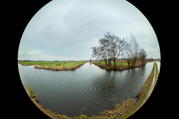 Wall Mural - fisheye image of trees along the water of a ditch in the dutch landscape of polder bloemendaal near 