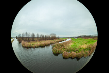 Wall Mural - fisheye view of the watery dutch polder landscape in the western part of the country